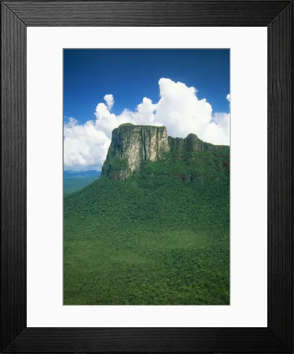 Framed Print : Venezuela FG 12116 Cerro Autana (1200 m alt). A Tepui towering above Rainforest Amazonas State. © Francois Gohier / ARDEA LONDON Framed Print : Venezuela FG 12116 Cerro Autana (1200 m alt). A Tepui towering above Rainforest Amazonas State. © Francois Gohier / ARDEA LONDON