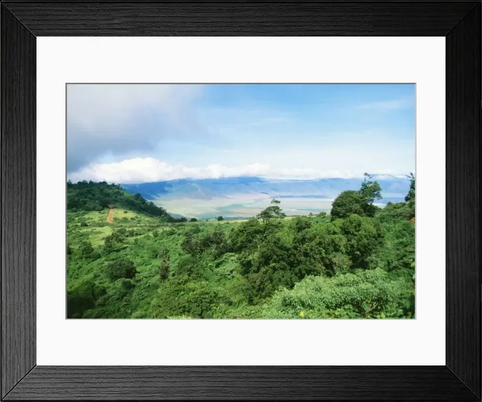 Framed Print : Africa FL 1994 Ngorongoro crater, Ngorongoro conservation zone, World Heritage, Tanzania Africa. © Ferrero Labat / ARDEA LONDON Framed Print : Africa FL 1994 Ngorongoro crater, Ngorongoro conservation zone, World Heritage, Tanzania Africa. © Ferrero Labat / ARDEA LONDON