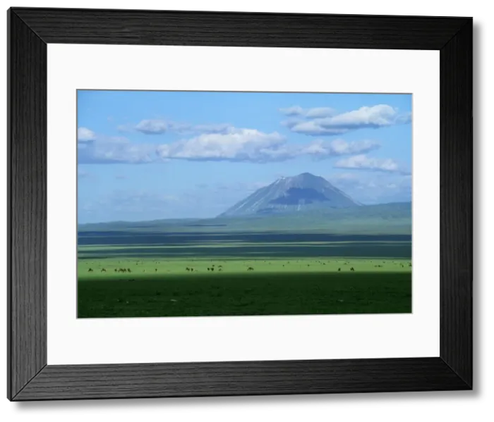 Framed Print : Ol Doinyo Lengai - Volcano Sacred to Massai & Wildebeeste Rift Valley - Ngorongoro Conservation Area - Tanzania JFL11640 Framed Print : Ol Doinyo Lengai - Volcano Sacred to Massai & Wildebeeste Rift Valley - Ngorongoro Conservation Area - Tanzania JFL11640