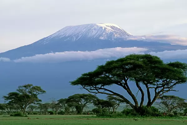 Mt Kilimanjaro in Tanzania - taken from Amboseli National Park - Kenya JFL14183