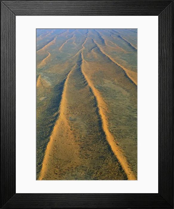 Framed Print : Dunefields (dunes and interdune corridors) Simpson Desert, South Australia JPF41677 Framed Print : Dunefields (dunes and interdune corridors) Simpson Desert, South Australia JPF41677