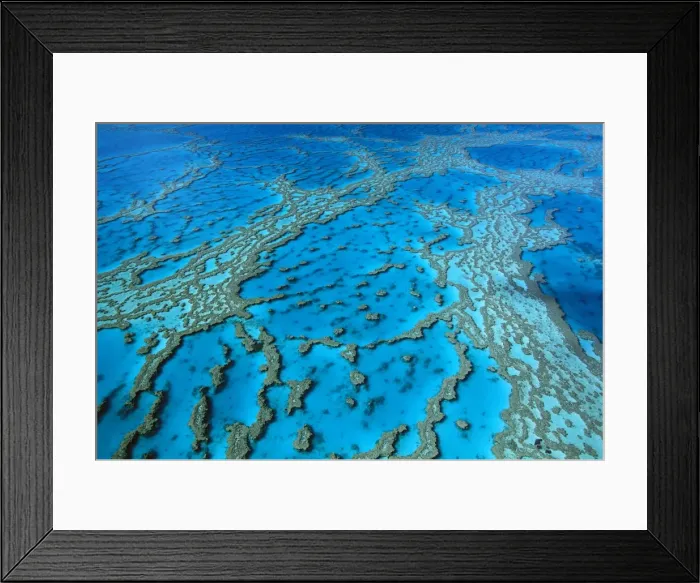 Framed Print : Hardy Reef coral formations, Hardy Reef, Great Barrier Reef Marine Park (World Heritage Area), Queensland, Australia JPF34001 Framed Print : Hardy Reef coral formations, Hardy Reef, Great Barrier Reef Marine Park (World Heritage Area), Queensland, Australia JPF34001
