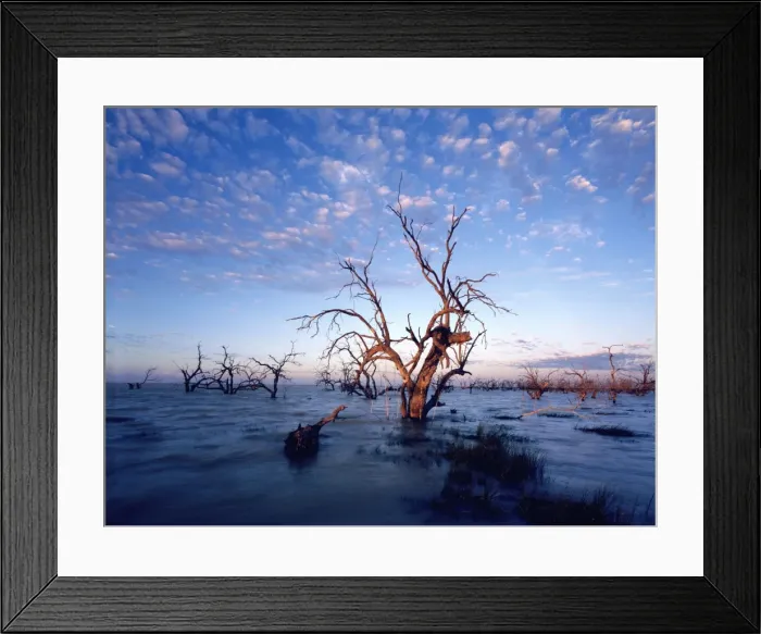 Framed Print : Cawndilla Lakes near Menindee, Kinchega National Park, far western New South Wales, Australia JPF43524 Framed Print : Cawndilla Lakes near Menindee, Kinchega National Park, far western New South Wales, Australia JPF43524
