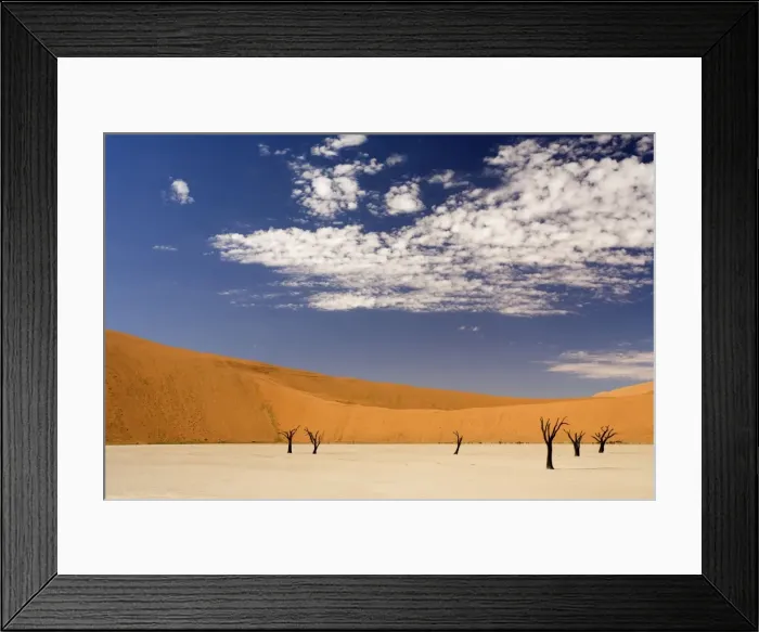 Framed Print : Dead Trees In Dead Vlei - Dead trees with red dunes and a dried white clay floor - Southern Namib Desert - Namibia - Africa Framed Print : Dead Trees In Dead Vlei - Dead trees with red dunes and a dried white clay floor - Southern Namib Desert - Namibia - Africa