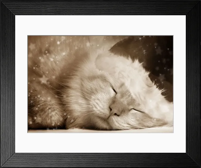 Framed Print : Cat - Red Tabby sleeping Digital Manipulation: Hat (Su), sepia, stars Framed Print : Cat - Red Tabby sleeping Digital Manipulation: Hat (Su), sepia, stars