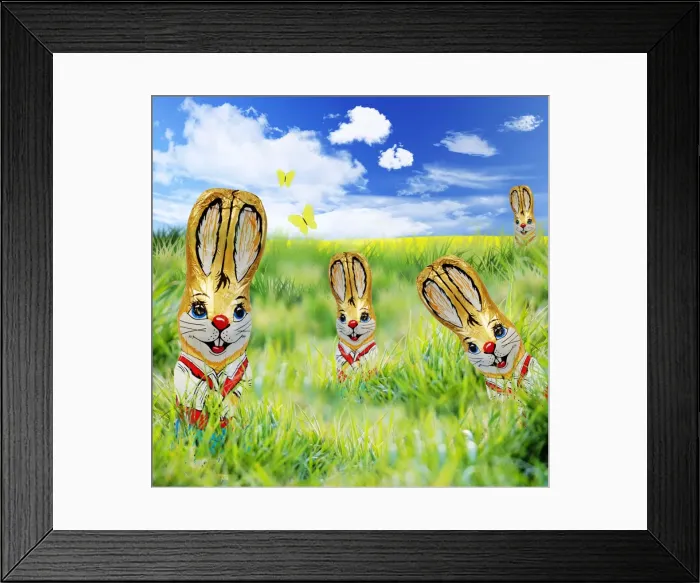 Framed Print : Rabbit - foil covererd chocolate easter rabbit in meadow scene Digital Manipulation: Grass from FEU-241. Rabbit (Su). Sky, yellow field, butterflies all created Framed Print : Rabbit - foil covererd chocolate easter rabbit in meadow scene Digital Manipulation: Grass from FEU-241. Rabbit (Su). Sky, yellow field, butterflies all created