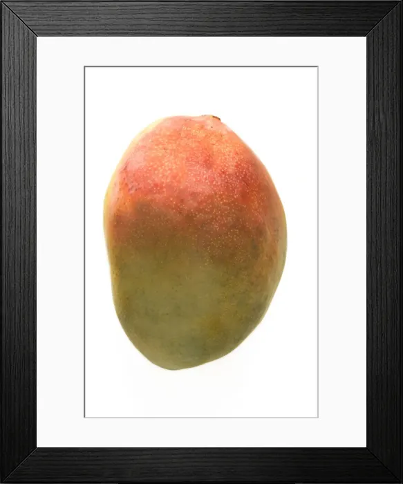 Framed Print : Mango - studio shot Framed Print : Mango - studio shot