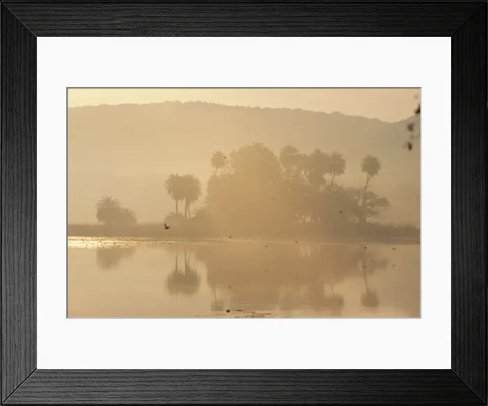 Framed Print : India - Rajbagh CB 7 Main lake in Ranthambhore National Park Rajasthan, India © Chris Brunskill / ARDEA LONDON Framed Print : India - Rajbagh CB 7 Main lake in Ranthambhore National Park Rajasthan, India © Chris Brunskill / ARDEA LONDON