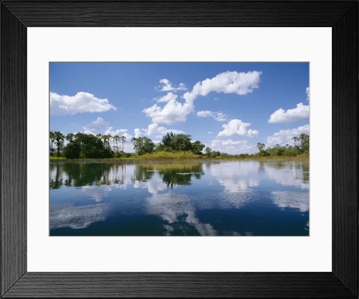 Framed Print : Botswana CRH 513 Okavango Lagoon © Chris Harvey / ARDEA LONDON Framed Print : Botswana CRH 513 Okavango Lagoon © Chris Harvey / ARDEA LONDON