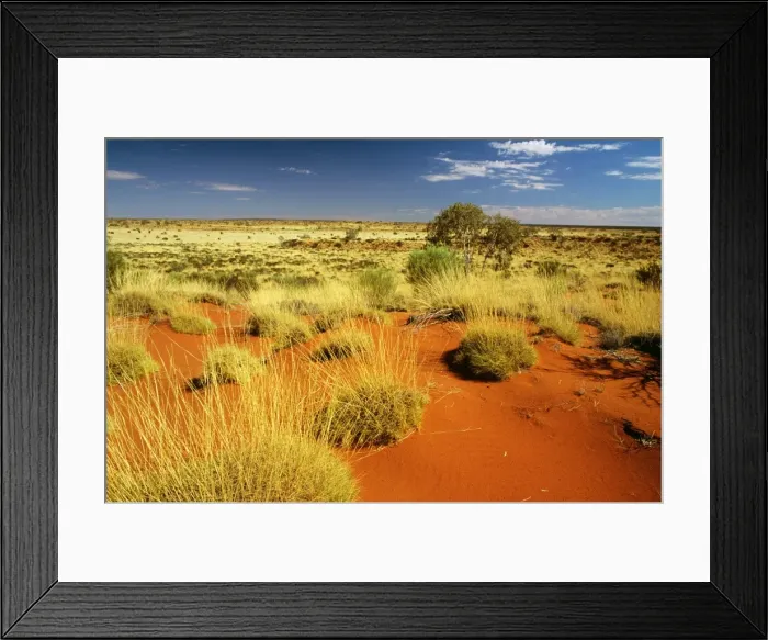 Framed Print : Little Sandy Desert Western Australia JLR02973 Framed Print : Little Sandy Desert Western Australia JLR02973