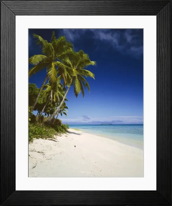 Framed Print : Ovalau Island tropical beach scene with palm trees - Vava'u Group - Tonga JLR06089 Framed Print : Ovalau Island tropical beach scene with palm trees - Vava'u Group - Tonga JLR06089