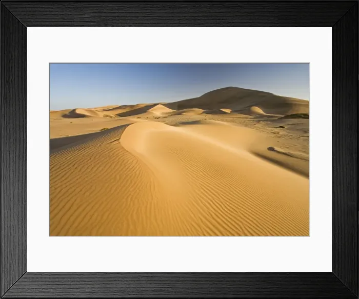 Framed Print : Dawn in the Dunes Patterns on the dunes between Swakopmund and Walvis Bay Namibia, Africa Framed Print : Dawn in the Dunes Patterns on the dunes between Swakopmund and Walvis Bay Namibia, Africa