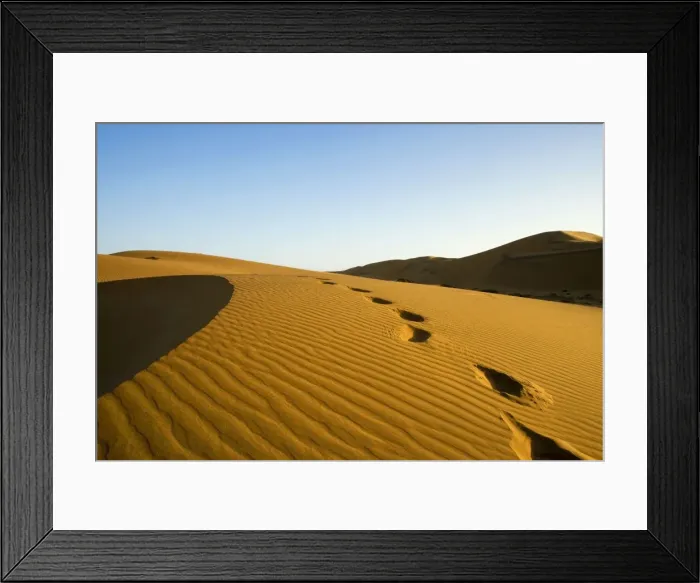 Framed Print : Footprints leading over a dune - Late evening sunlight - Dune Sea - Namib Desert - Namibia - Africa Framed Print : Footprints leading over a dune - Late evening sunlight - Dune Sea - Namib Desert - Namibia - Africa