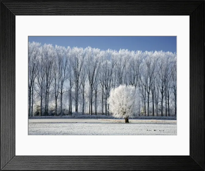 Framed Print : landscape in winter - countryside - Belgium Framed Print : landscape in winter - countryside - Belgium