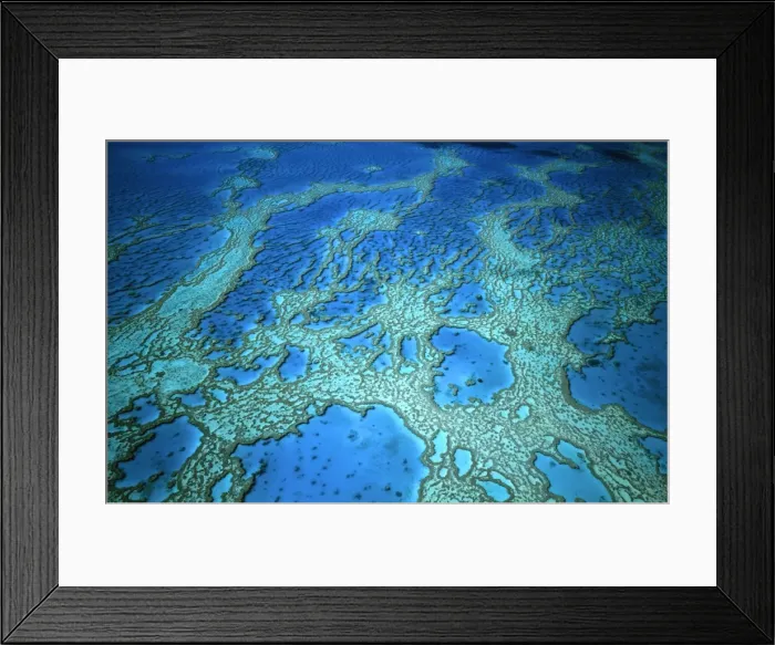 Framed Print : Hardy Reef aerial of coral formations, Great Barrier Reef Marine Park (World Heritage Area), Queensland, Australia JPF34083 Framed Print : Hardy Reef aerial of coral formations, Great Barrier Reef Marine Park (World Heritage Area), Queensland, Australia JPF34083