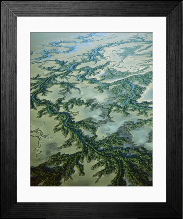Framed Print : Aerial - Roper River delta with saline flats and mangrove-lined dendritic channels, Gulf of Carpentaria, Northern Territory, Australia JPF48305 Framed Print : Aerial - Roper River delta with saline flats and mangrove-lined dendritic channels, Gulf of Carpentaria, Northern Territory, Australia JPF48305