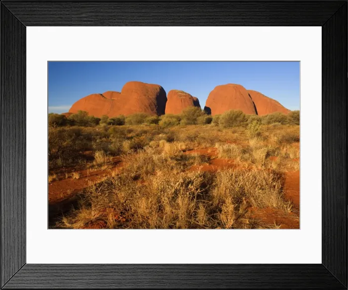 Framed Print : Olgas - Kata Tjuta - famous sandstone rocks just before sunset - Uluru-Kata Tjuta National Park, World Heritage Area, Northern Territory, Australia Aboriginals of the Anangu tribe call The Olgas Kata Tjuta Framed Print : Olgas - Kata Tjuta - famous sandstone rocks just before sunset - Uluru-Kata Tjuta National Park, World Heritage Area, Northern Territory, Australia Aboriginals of the Anangu tribe call The Olgas Kata Tjuta
