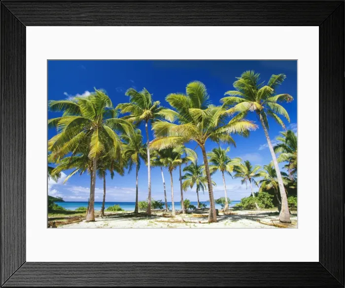 Framed Print : Tonga AU 132 JLR Taunga Island Vava'u Group Kingdom of Tonga © J-M La Roque / ARDEA LONDON Framed Print : Tonga AU 132 JLR Taunga Island Vava'u Group Kingdom of Tonga © J-M La Roque / ARDEA LONDON