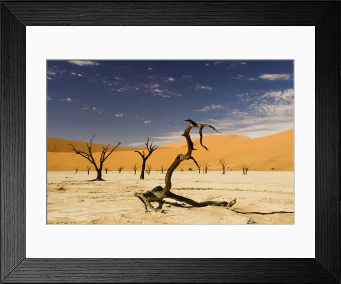 Framed Print : Dead Trees In Dead Vlei - Dead trees with red dunes and a dried white clay floor - Southern Namib Desert - Namibia - Africa Framed Print : Dead Trees In Dead Vlei - Dead trees with red dunes and a dried white clay floor - Southern Namib Desert - Namibia - Africa