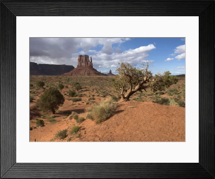 Framed Print : Monument Valley, Arizona, USA Framed Print : Monument Valley, Arizona, USA
