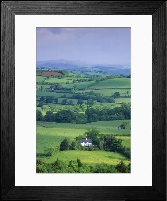 Framed Print : Devon HAR 20 Cottage amidst hedgerow landscape © Anthony Harrison / ARDEA LONDON Framed Print : Devon HAR 20 Cottage amidst hedgerow landscape © Anthony Harrison / ARDEA LONDON