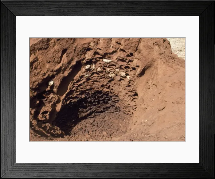 Framed Print : African Termite Mound - open Framed Print : African Termite Mound - open