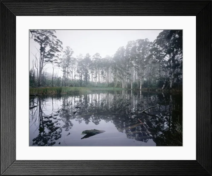 Framed Print : Sanatorium Lake with rising mist, Mount Macedon, Victoria, Australia JLR04078 Framed Print : Sanatorium Lake with rising mist, Mount Macedon, Victoria, Australia JLR04078
