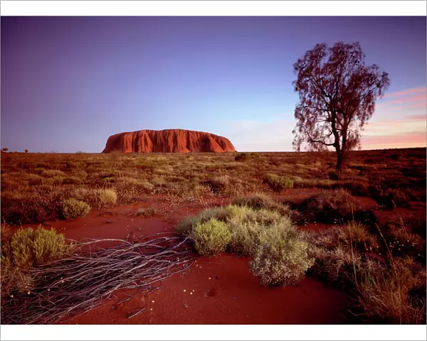 Uluru  /  Ayers Rock - at sunset - Uluru-Kata Tjuta National Park (World Heritage Area) Northern Territory Australia JLR04815