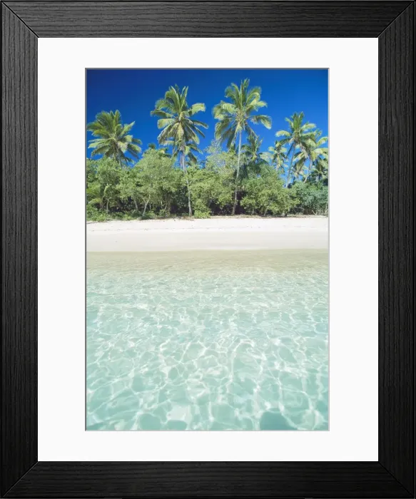 Framed Print : Uoleva Island tropical scene with palm trees, Ha'apai Group, Tonga JLR06064 Framed Print : Uoleva Island tropical scene with palm trees, Ha'apai Group, Tonga JLR06064