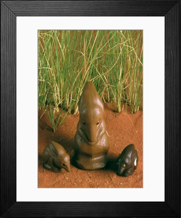 Framed Print : Chocolate Bilby - Australia's version of the Easter bunny JLR07171 Framed Print : Chocolate Bilby - Australia's version of the Easter bunny JLR07171