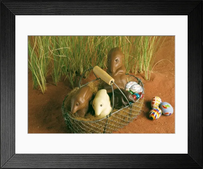 Framed Print : Chocolate Bilby - Australia's version of the Easter bunny JLR07163 Framed Print : Chocolate Bilby - Australia's version of the Easter bunny JLR07163