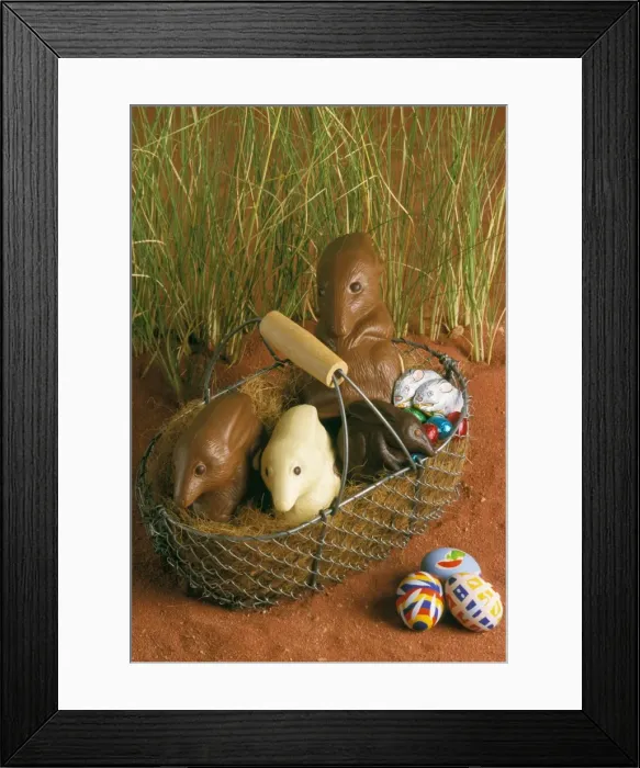 Framed Print : Chocolate Bilby - Australia's version of the Easter bunny JLR07161 Framed Print : Chocolate Bilby - Australia's version of the Easter bunny JLR07161