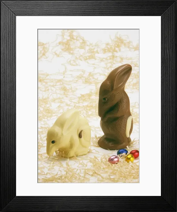 Framed Print : Chocolate Bilby - Australia's version of the Easter bunny JLR07153 Framed Print : Chocolate Bilby - Australia's version of the Easter bunny JLR07153