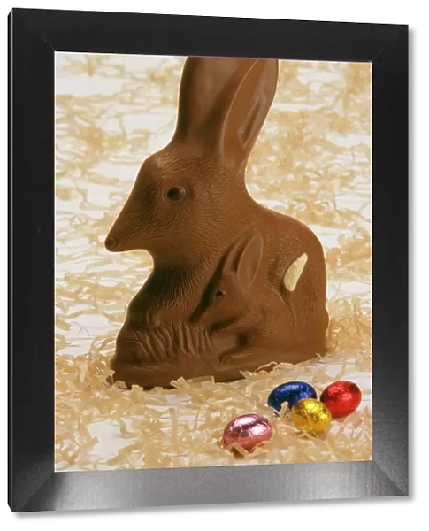 Chocolate Bilby - Australia's version of the Easter bunny JLR07151