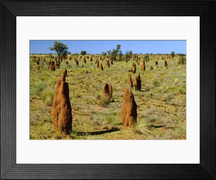 Framed Print : Mounds of termite - Tanami Desert, Northern Territory, Australia JLR07855
