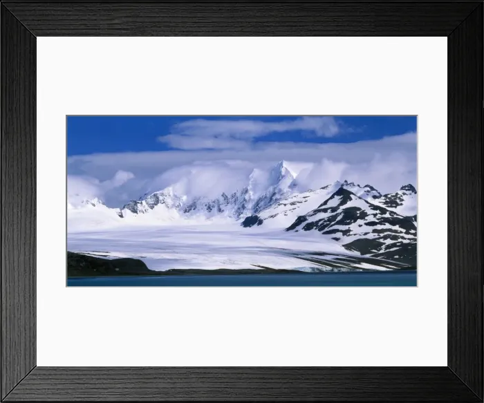 Framed Print : South Georgia Sub Antarctic Bay of Isles, Lucas Glacier from Prion Island Framed Print : South Georgia Sub Antarctic Bay of Isles, Lucas Glacier from Prion Island