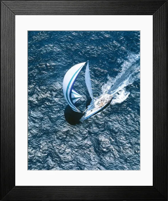Framed Print : Yacht Race JPF 12617 Sydney to Hobart yacht race - December 26th 1998 © Jean-Paul Ferrero / ARDEA LONDON Framed Print : Yacht Race JPF 12617 Sydney to Hobart yacht race - December 26th 1998 © Jean-Paul Ferrero / ARDEA LONDON