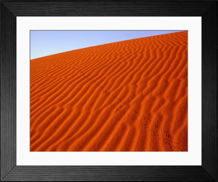 Framed Print : Sand dunes with animal tracks, Strzelecki Desert, South Australia JPF45512 Framed Print : Sand dunes with animal tracks, Strzelecki Desert, South Australia JPF45512