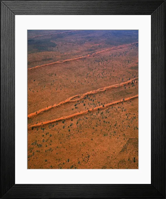 Framed Print : Tanami Desert vegetation: spinifex, desert oaks & acacias Northern Territory, Australia JPF45095 Framed Print : Tanami Desert vegetation: spinifex, desert oaks & acacias Northern Territory, Australia JPF45095