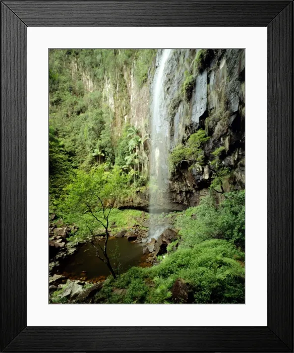 Framed Print : Protesters Falls Terania Creek, Nightcap National Park, New South Wales, Australia JPF32183 Framed Print : Protesters Falls Terania Creek, Nightcap National Park, New South Wales, Australia JPF32183