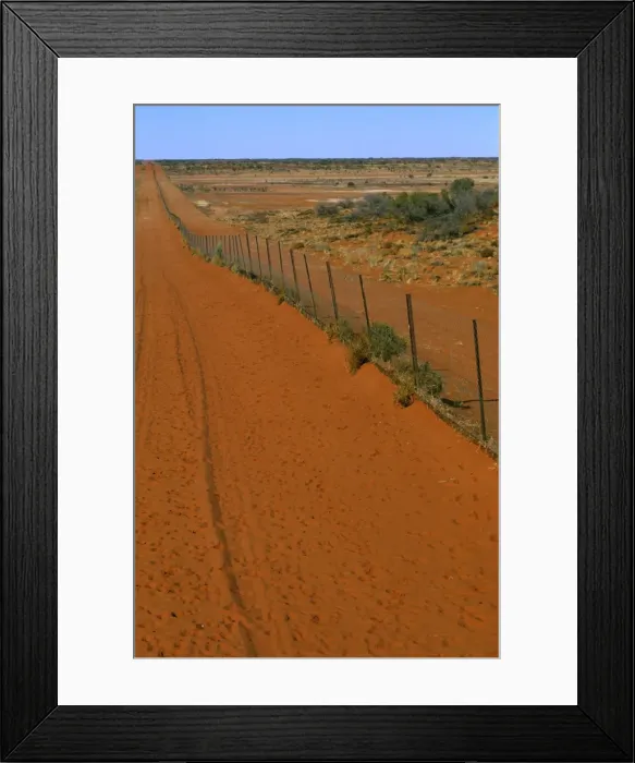 Framed Print : Dingo fence Sturt National Park, far western New South Wales, Australia JPF45267 Framed Print : Dingo fence Sturt National Park, far western New South Wales, Australia JPF45267