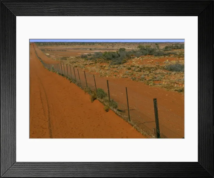 Framed Print : Dingo fence Sturt National Park, far western New South Wales, Australia JPF45266 Framed Print : Dingo fence Sturt National Park, far western New South Wales, Australia JPF45266