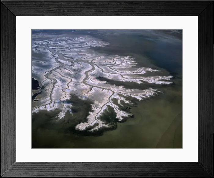 Framed Print : Aerial - Tidal flats along King Sound area, near Derby with mangrove-lined tidal river and dendritic drainage channels - Kimberley region, Western Australia JPF45092 Framed Print : Aerial - Tidal flats along King Sound area, near Derby with mangrove-lined tidal river and dendritic drainage channels - Kimberley region, Western Australia JPF45092