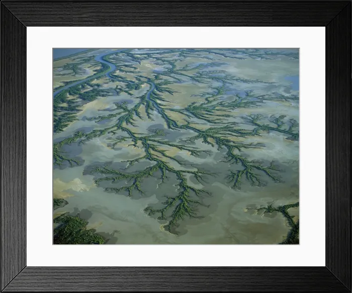Framed Print : Aerial - Roper River delta aerial with saline flats and mangrove lined dendritic channels, Gulf of Carpentaria, Northern Territory, Australia JPF48635 Framed Print : Aerial - Roper River delta aerial with saline flats and mangrove lined dendritic channels, Gulf of Carpentaria, Northern Territory, Australia JPF48635