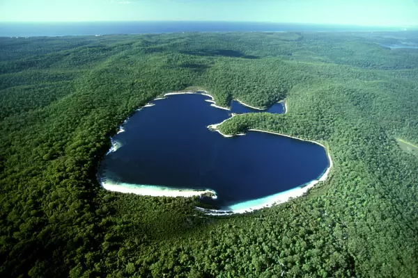 Aerial - Lake McKenzie (Boorangoora) a perched lake, Fraser Island, Queensland, Australia JPF34649
