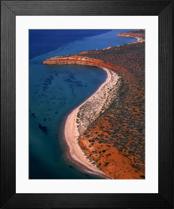 Framed Print : Aerial - Seagrass bed / dugong habitat at Cape Peron and Herald Bight Francois Peron National Park, Shark Bay Marine Park, Western Australia JPF43595 Framed Print : Aerial - Seagrass bed / dugong habitat at Cape Peron and Herald Bight Francois Peron National Park, Shark Bay Marine Park, Western Australia JPF43595