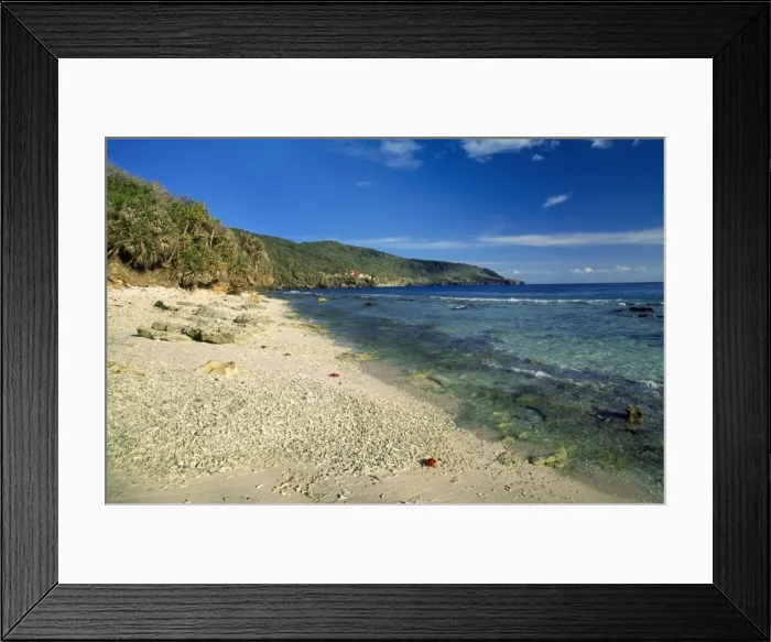Framed Print : Christmas Island - Indian Ocean - Ethel beach (coral rubble) limestone cliffs & Pandanus Framed Print : Christmas Island - Indian Ocean - Ethel beach (coral rubble) limestone cliffs & Pandanus