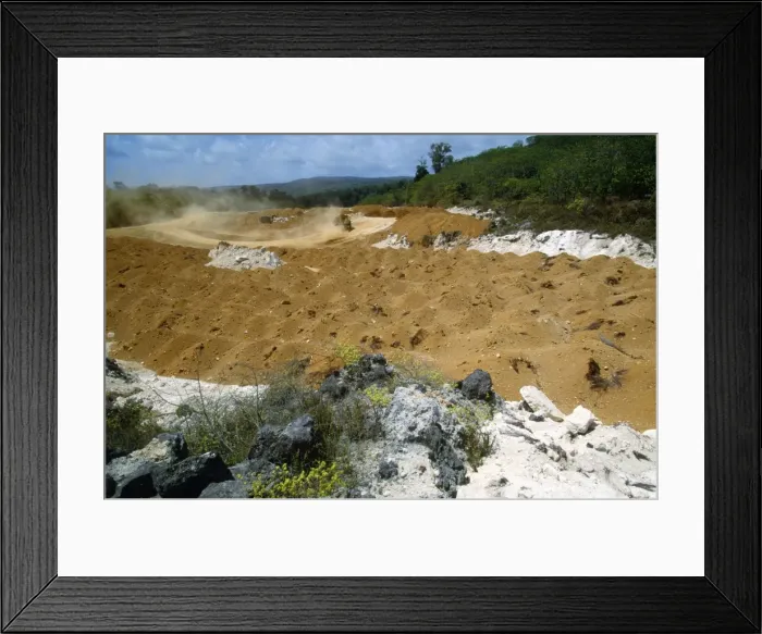 Framed Print : Rainforest Rehabilitation - nursery rainforest trees replanting. Phosphate mined Christmas Island, Indian Ocean Framed Print : Rainforest Rehabilitation - nursery rainforest trees replanting. Phosphate mined Christmas Island, Indian Ocean