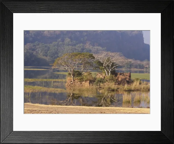 Framed Print : Ranthambhor National Park, India Framed Print : Ranthambhor National Park, India