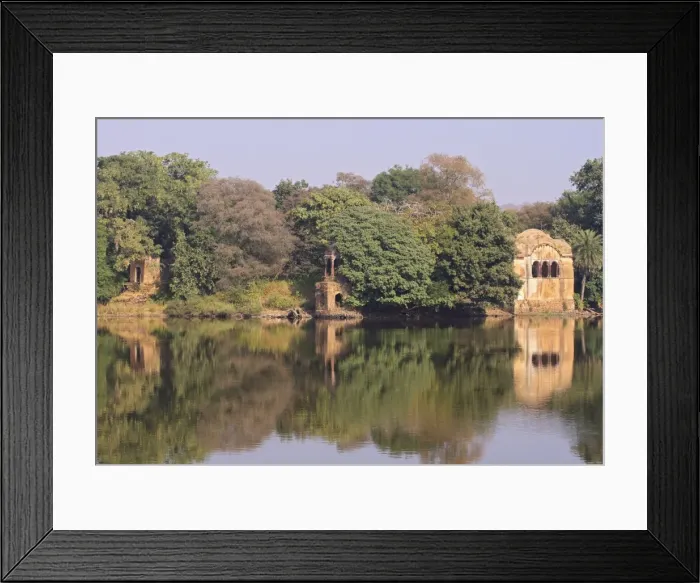Framed Print : Ranthambhor National Park, India Framed Print : Ranthambhor National Park, India